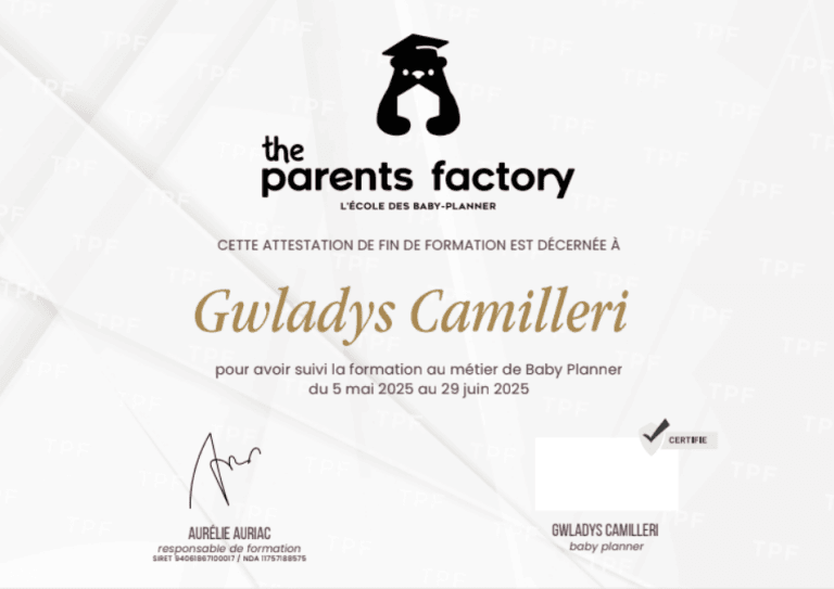 Capture d'écran 2025-11-11 214815