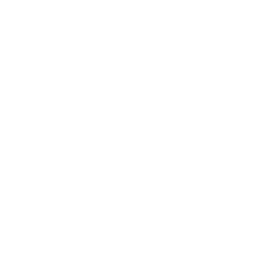 déclinaisons logo (6)